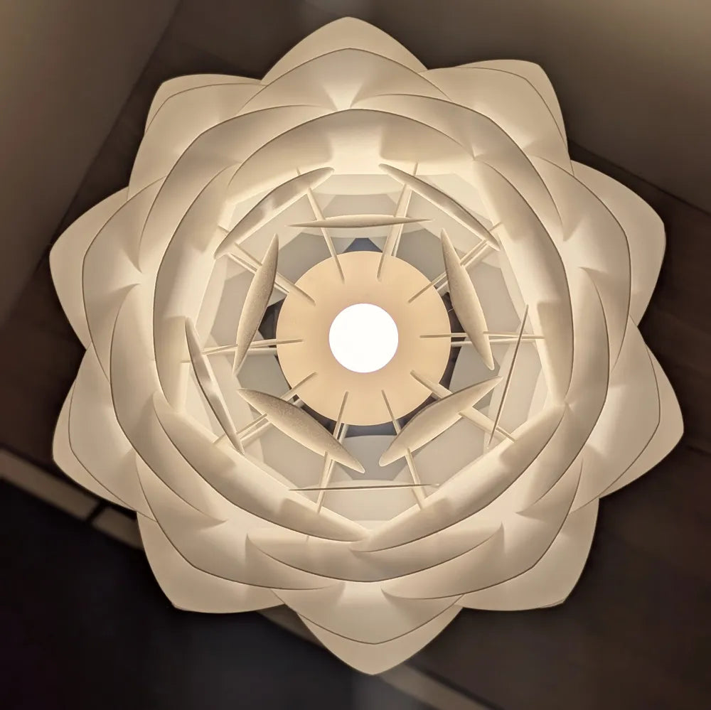 Comparatif tailles petit et grand fleur de lotus sur pied